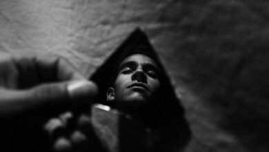 mystery of identity number