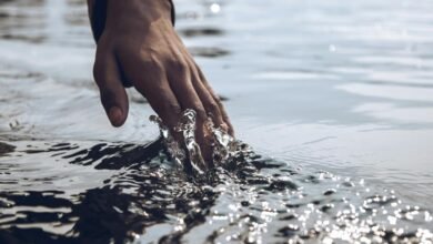 tracing contact number origins
