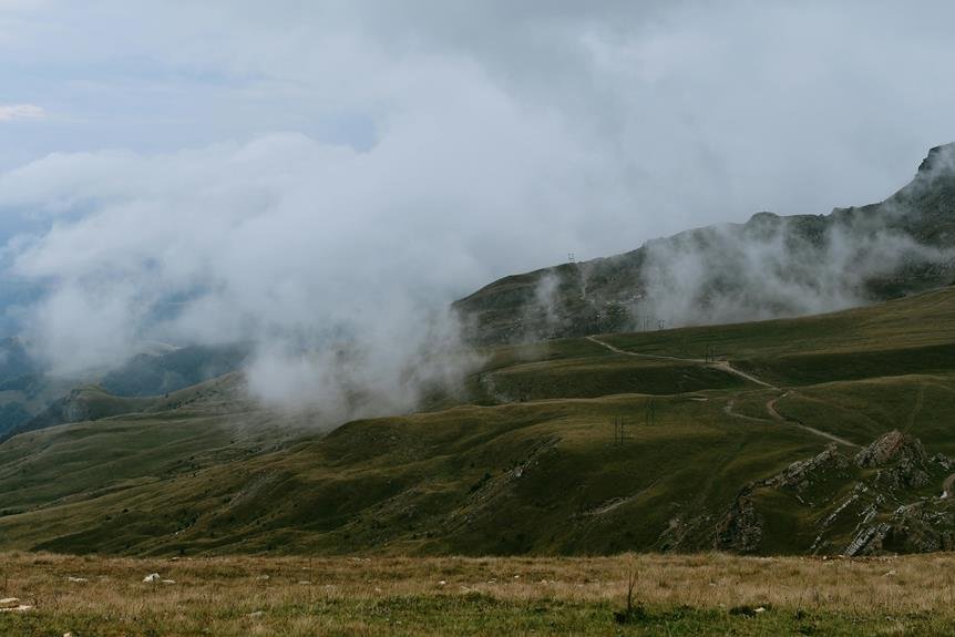 valley steam weather bed