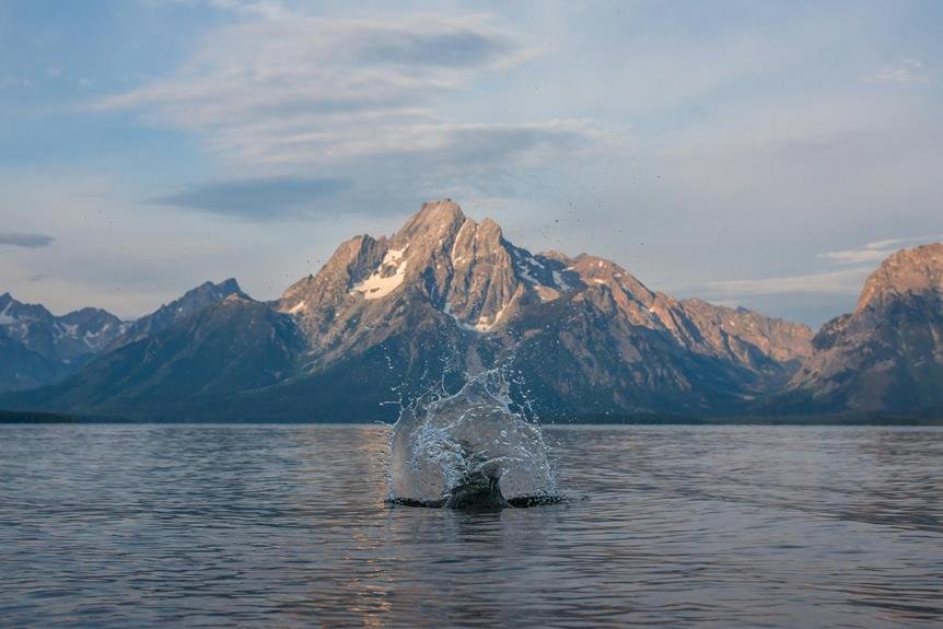 wyoming decentralized governance legislation